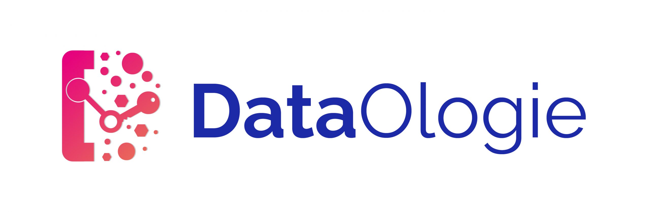 Dataologie Logo